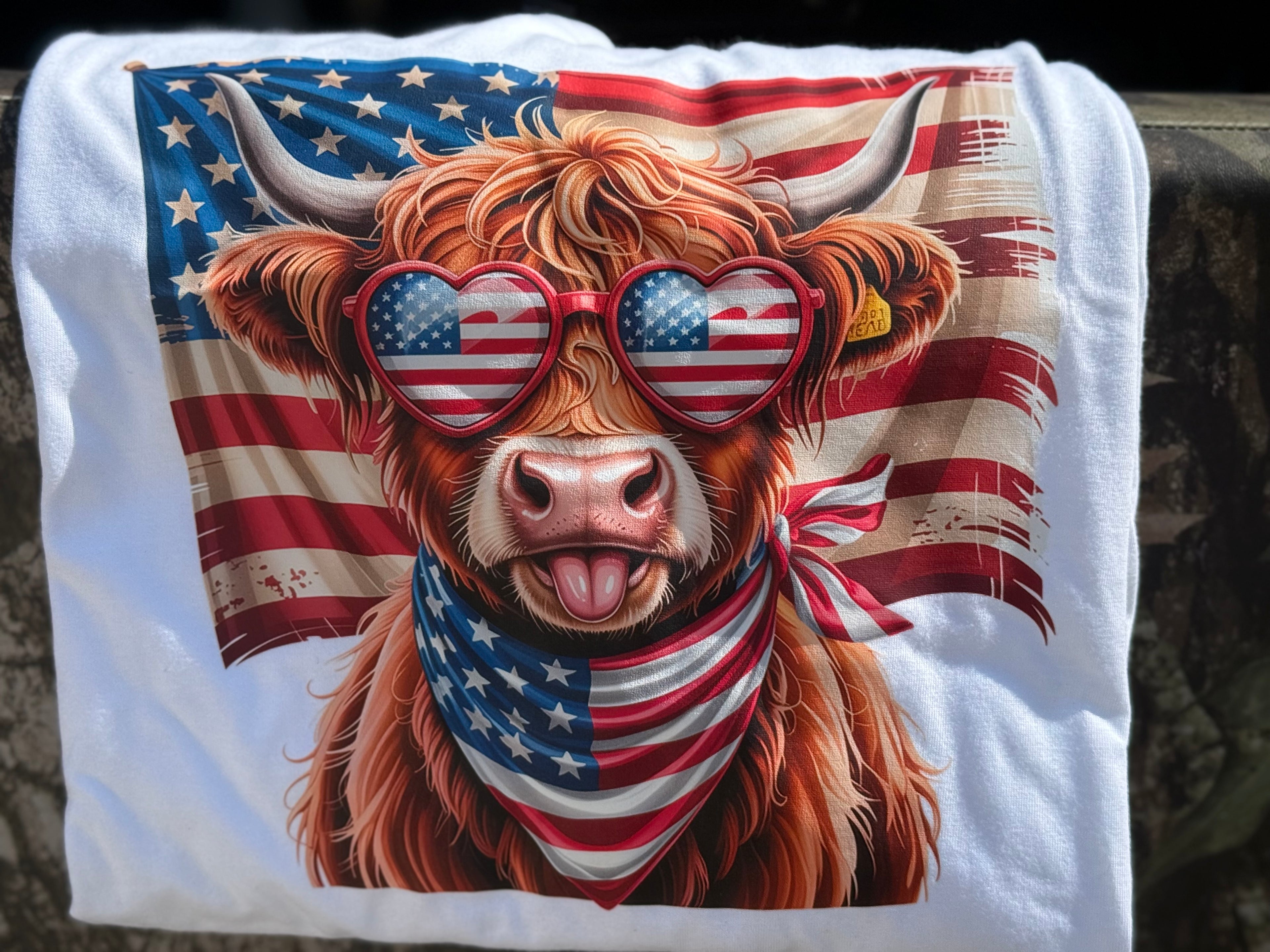 Rockin USA highland cow